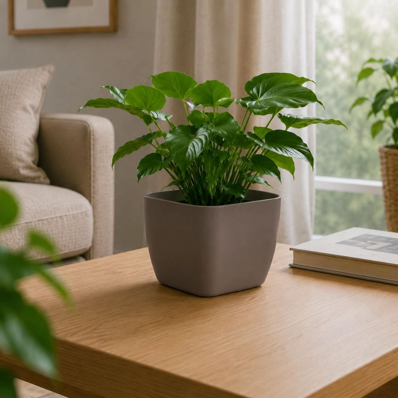 JARDINERA MACETERO CUADRADA PLASTICO 20CM TERRAZA BALCON TAMAÑO TALLA UNICA - 1