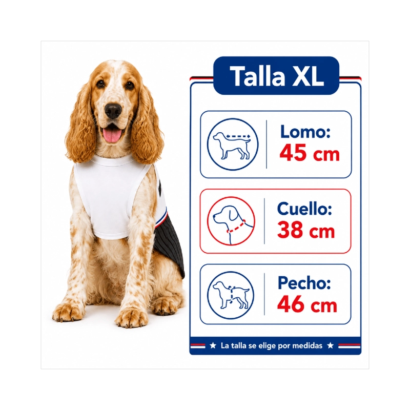 TRAJE DE HUASO CHILENO PARA PERRO TALLA XL - 3