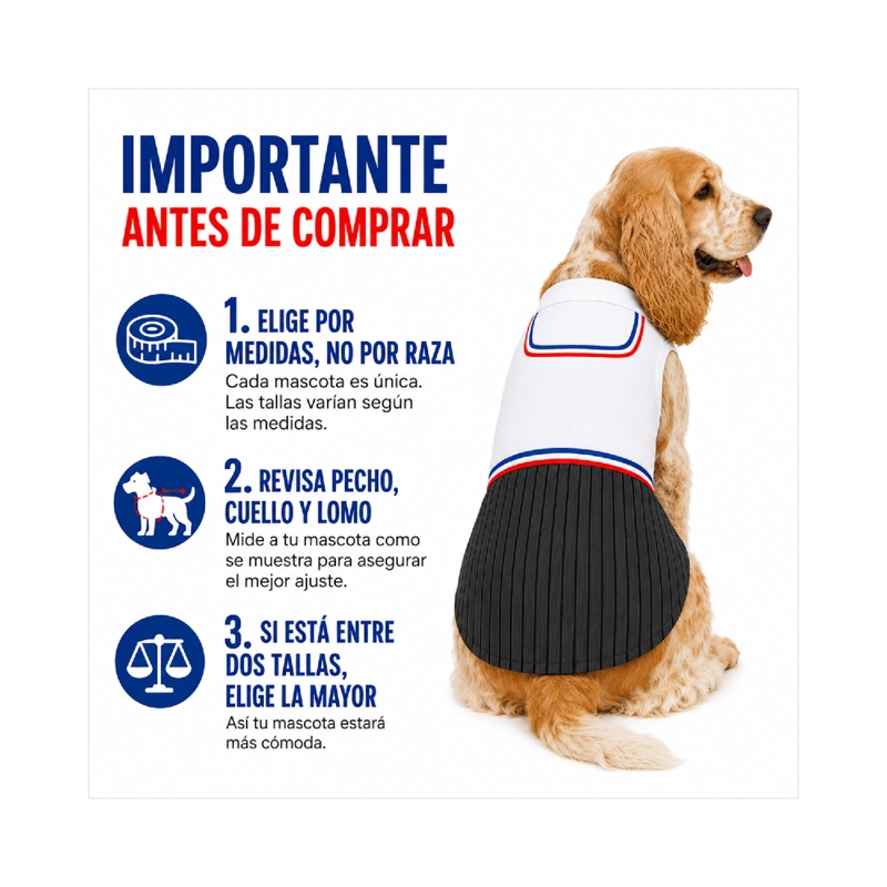 TRAJE DE HUASO CHILENO PARA PERRO TALLA XL - 7