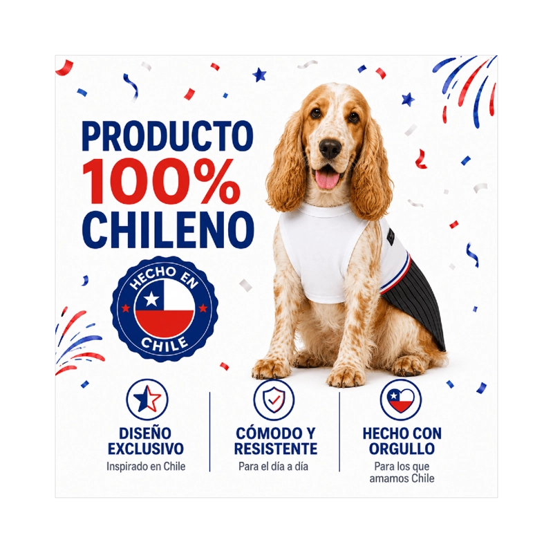 TRAJE DE HUASO CHILENO PARA PERRO TALLA XL - 8