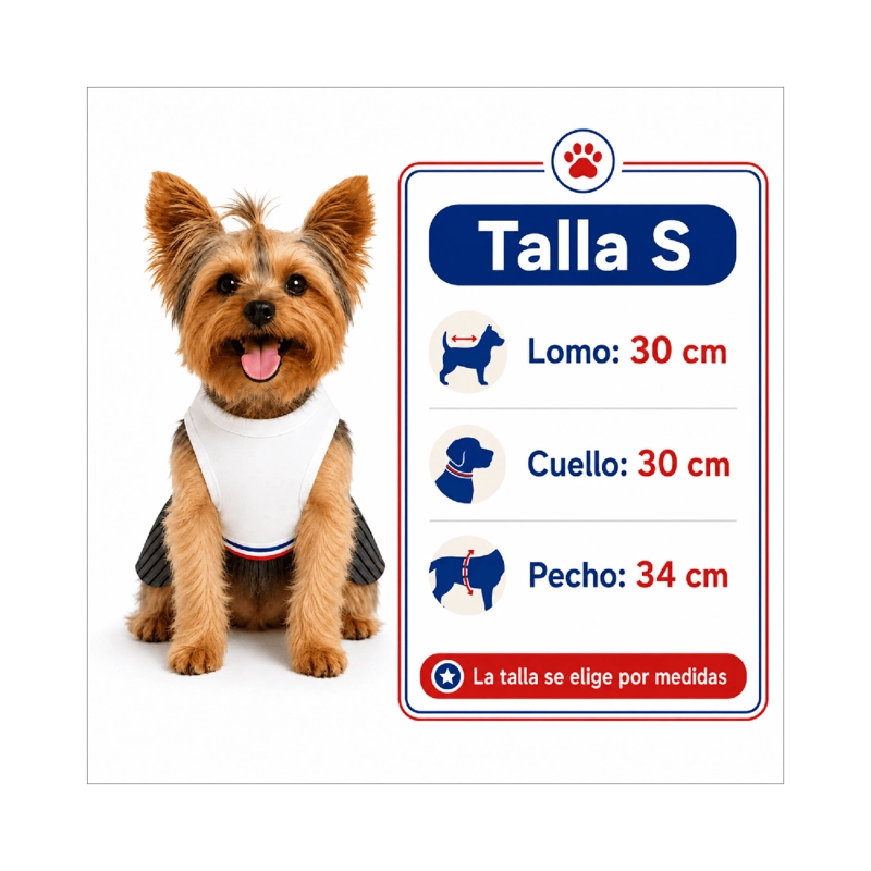 TRAJE DE HUASO CHILENO PARA PERRO TALLA S - 3