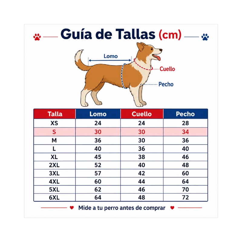 TRAJE DE HUASO CHILENO PARA PERRO TALLA S - 4