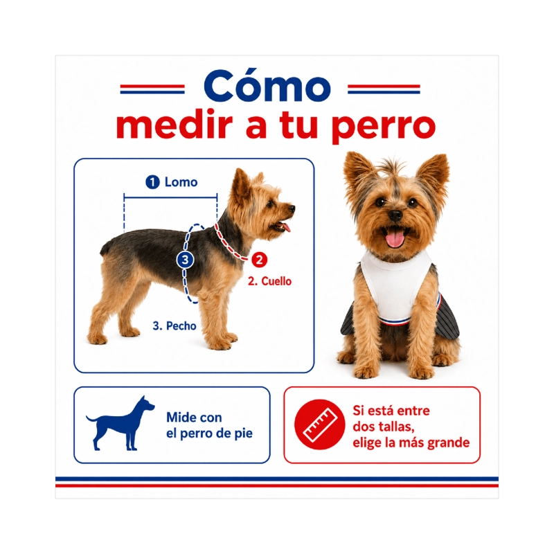 TRAJE DE HUASO CHILENO PARA PERRO TALLA S - 5