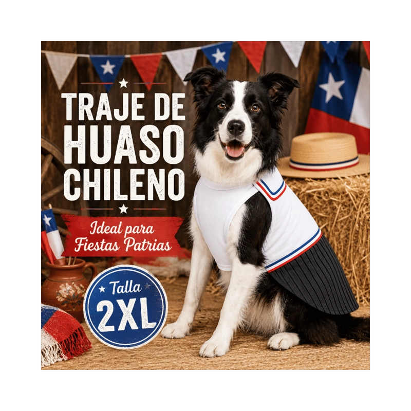 TRAJE DE HUASO CHILENO PARA PERRO TALLA 2XL - 2
