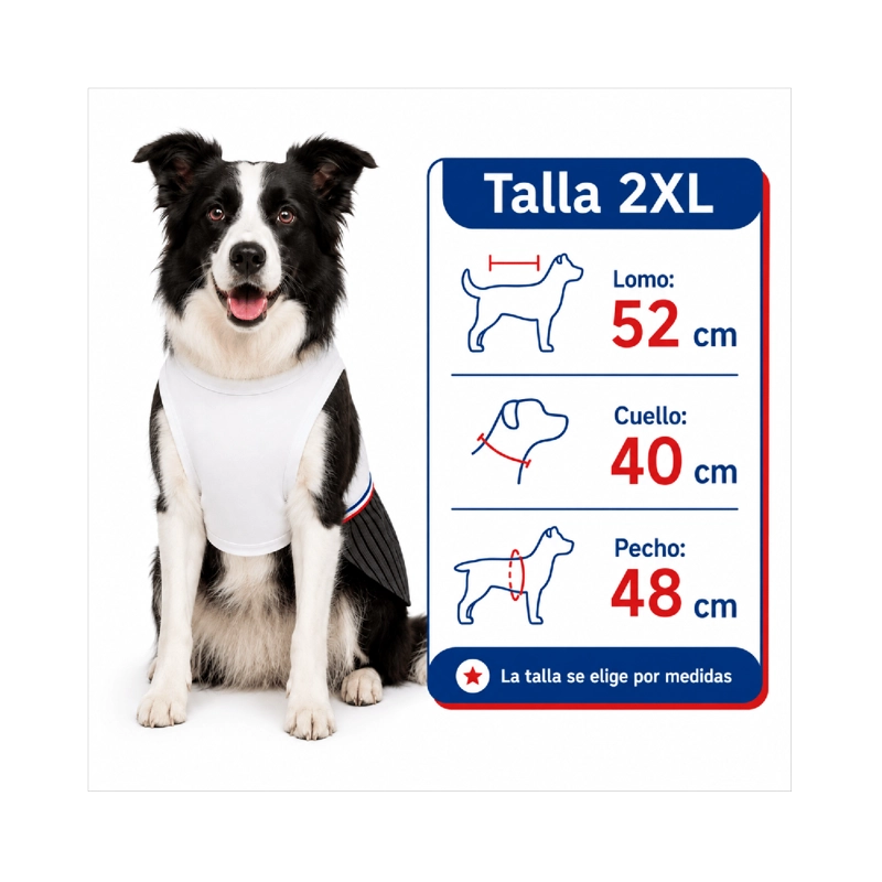 TRAJE DE HUASO CHILENO PARA PERRO TALLA 2XL - 3