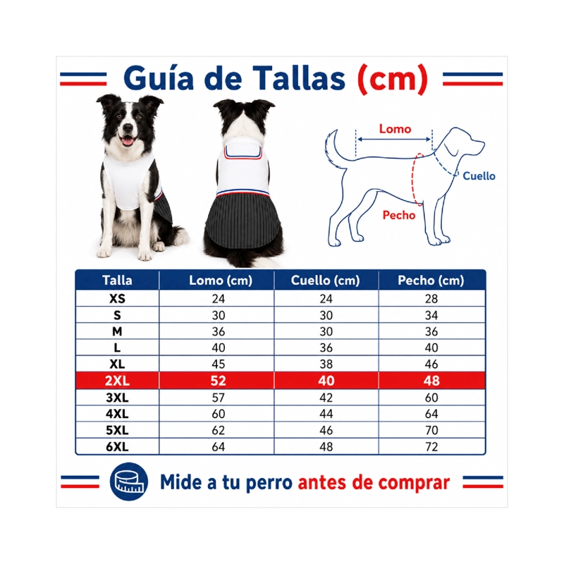 TRAJE DE HUASO CHILENO PARA PERRO TALLA 2XL - 4