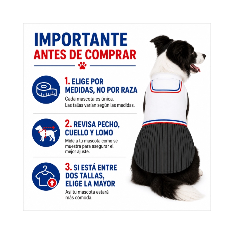 TRAJE DE HUASO CHILENO PARA PERRO TALLA 2XL - 7