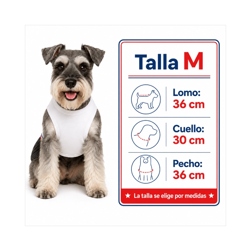 TRAJE DE HUASO CHILENO PARA PERRO TALLA M - 3