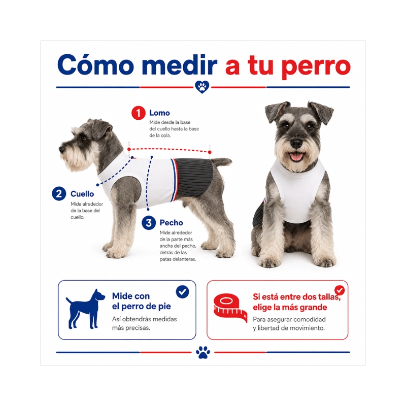 TRAJE DE HUASO CHILENO PARA PERRO TALLA M - 5