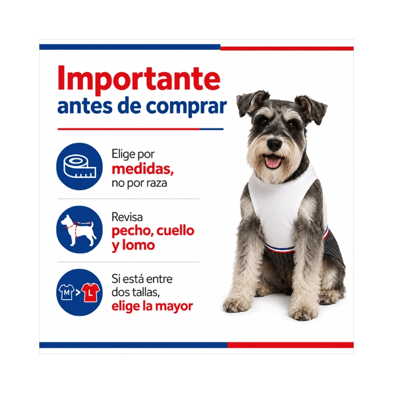 TRAJE DE HUASO CHILENO PARA PERRO TALLA M - 8