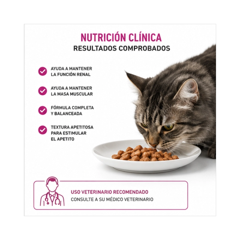 ROYAL CANIN RENAL SUPPORT FELINE LATA 145 GR | PACK 6 LATAS - 3
