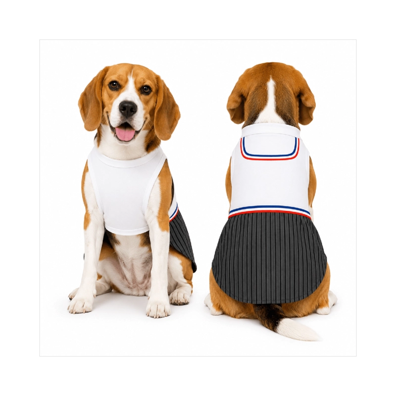 TRAJE DE HUASO CHILENO PARA PERRO TALLA L - 1