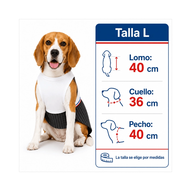 TRAJE DE HUASO CHILENO PARA PERRO TALLA L - 3