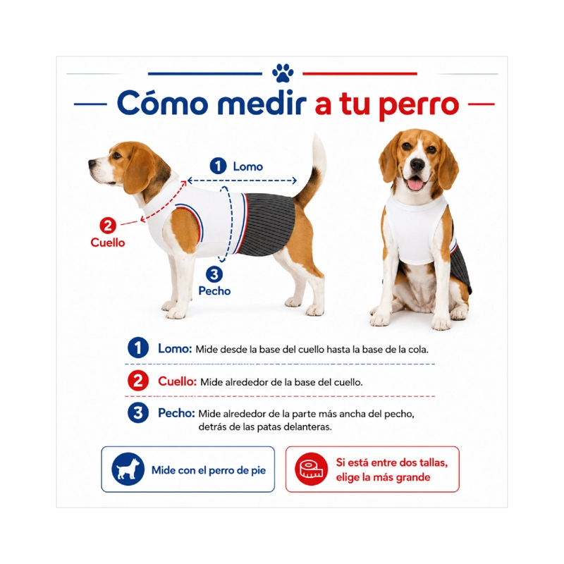 TRAJE DE HUASO CHILENO PARA PERRO TALLA L - 5