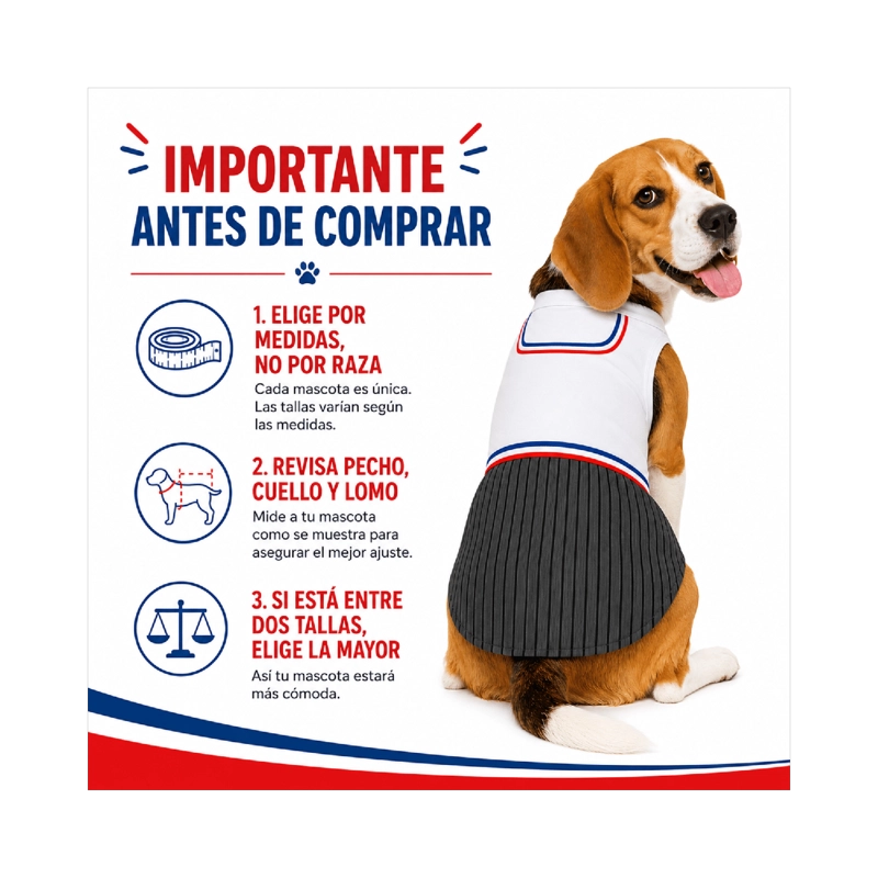 TRAJE DE HUASO CHILENO PARA PERRO TALLA L - 8