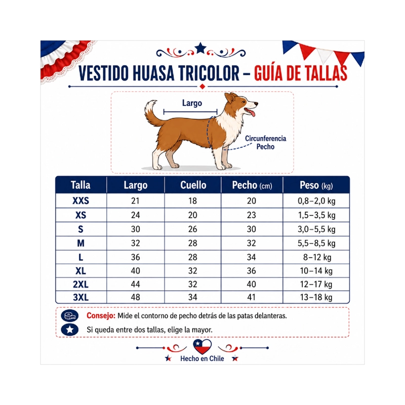 VESTIDO DE HUASA TRICOLOR PARA PERRO TALLA XS - 4