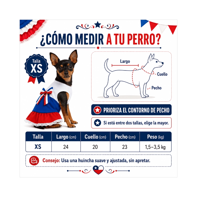 VESTIDO DE HUASA TRICOLOR PARA PERRO TALLA XS - 5