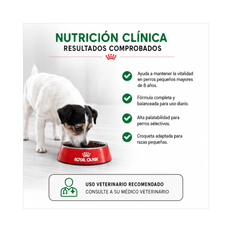ROYAL CANIN MINI ADULTO 8+ SACO 3 KILO - 3