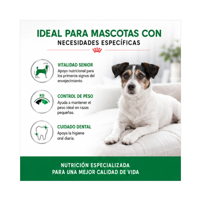 ROYAL CANIN MINI ADULTO 8+ SACO 3 KILO - 4