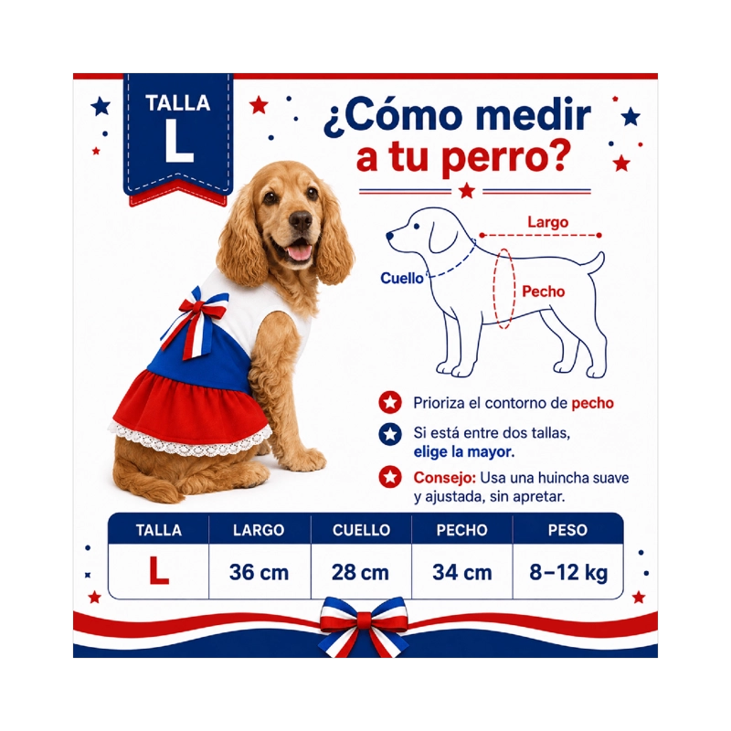 VESTIDO DE HUASA TRICOLOR PARA PERRO TALLA L - 2