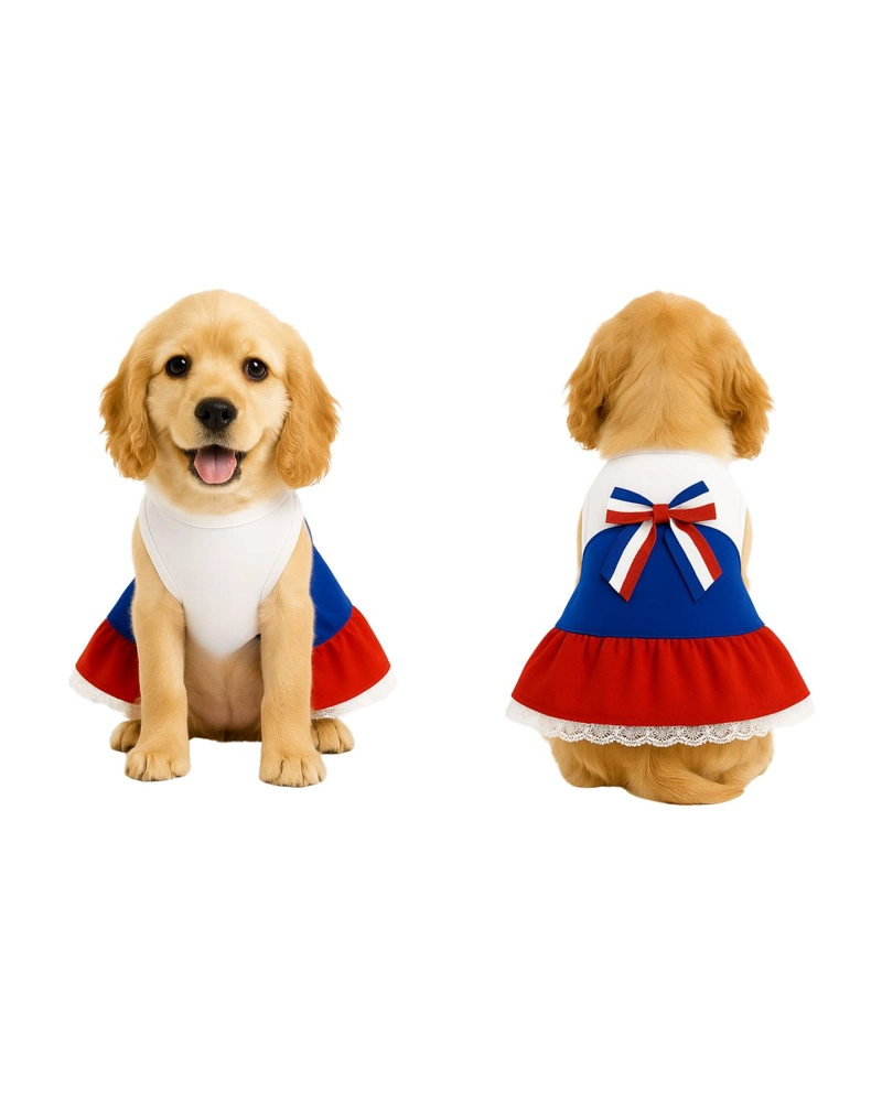 VESTIDO DE HUASA TRICOLOR PARA PERRO TALLA L - 9