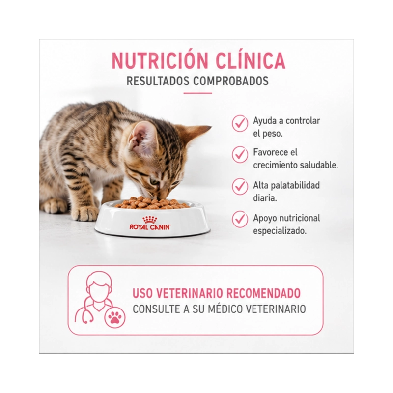 ROYAL CANIN KITTEN ESTERILIZADO SOBRE 85G PARA GATITOS - 4