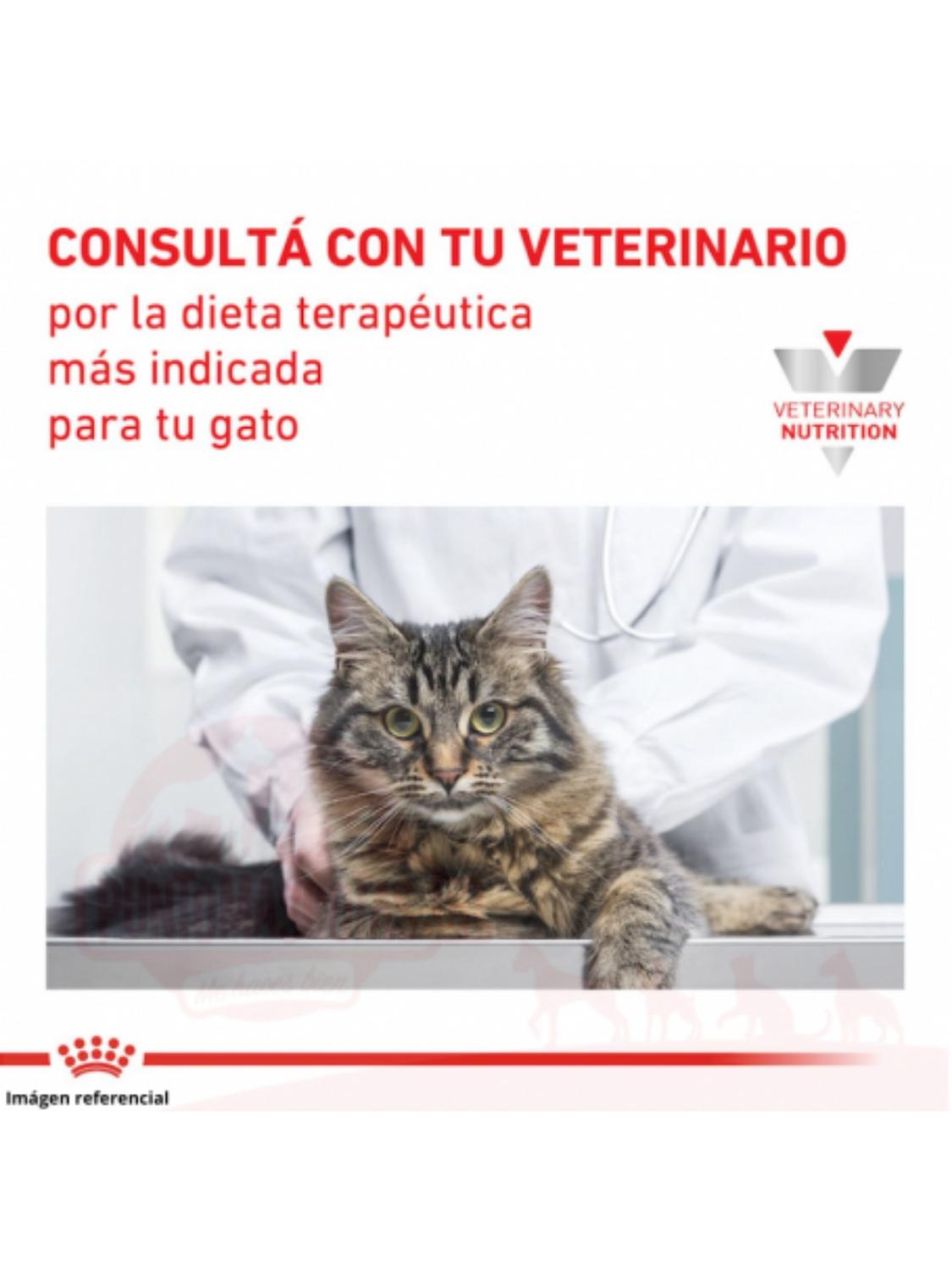 ROYAL CANIN ALIMENTO PARA GATOS GASTROINTESTINAL 2KG. - 2