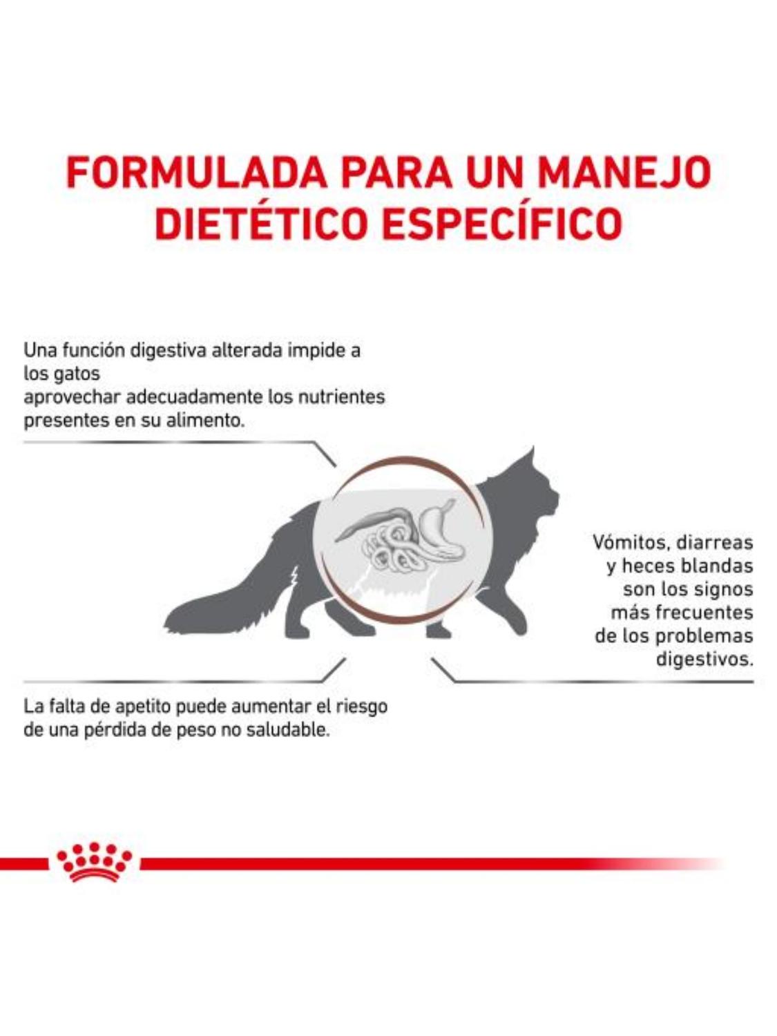 ROYAL CANIN ALIMENTO PARA GATOS GASTROINTESTINAL 2KG. - 3