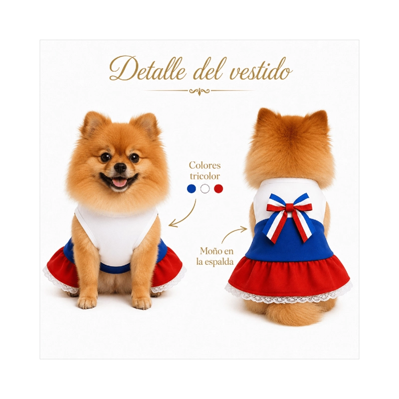 VESTIDO DE HUASA TRICOLOR PARA PERRO TALLA S - 8