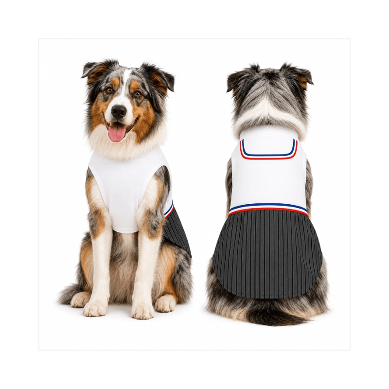 TRAJE DE HUASO CHILENO PARA PERRO TALLA 3XL - 1