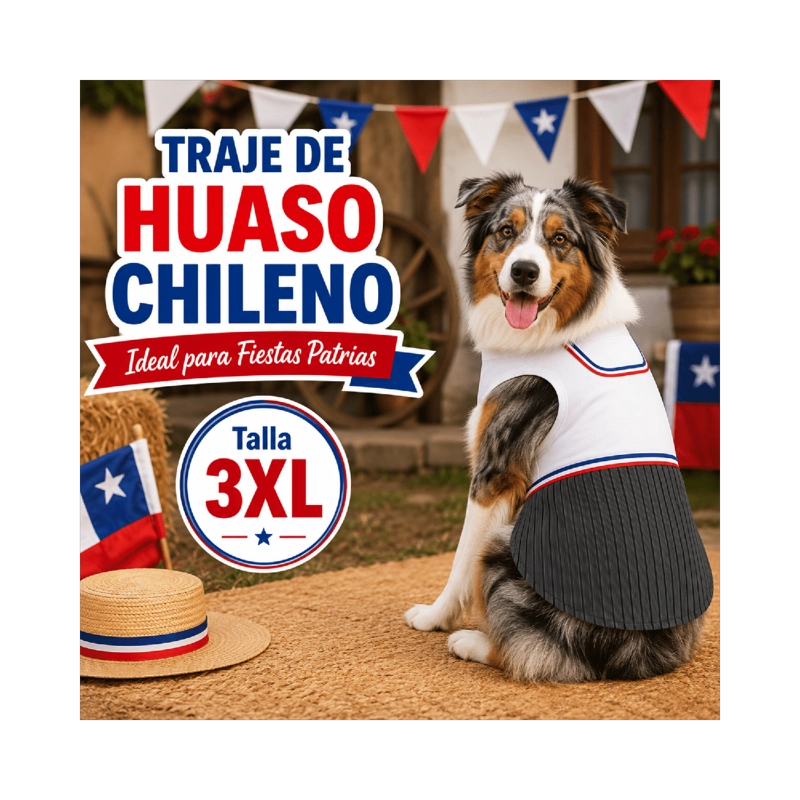 TRAJE DE HUASO CHILENO PARA PERRO TALLA 3XL - 2