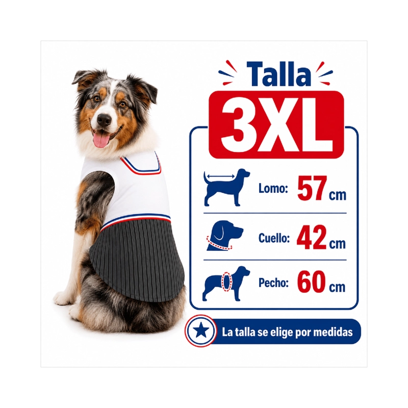TRAJE DE HUASO CHILENO PARA PERRO TALLA 3XL - 3