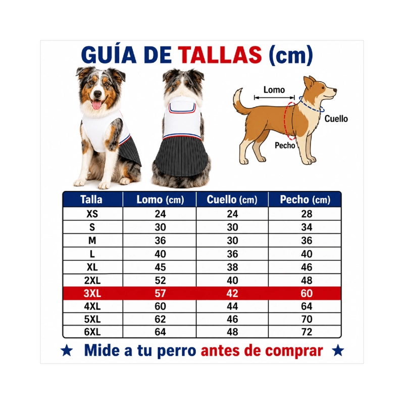 TRAJE DE HUASO CHILENO PARA PERRO TALLA 3XL - 4