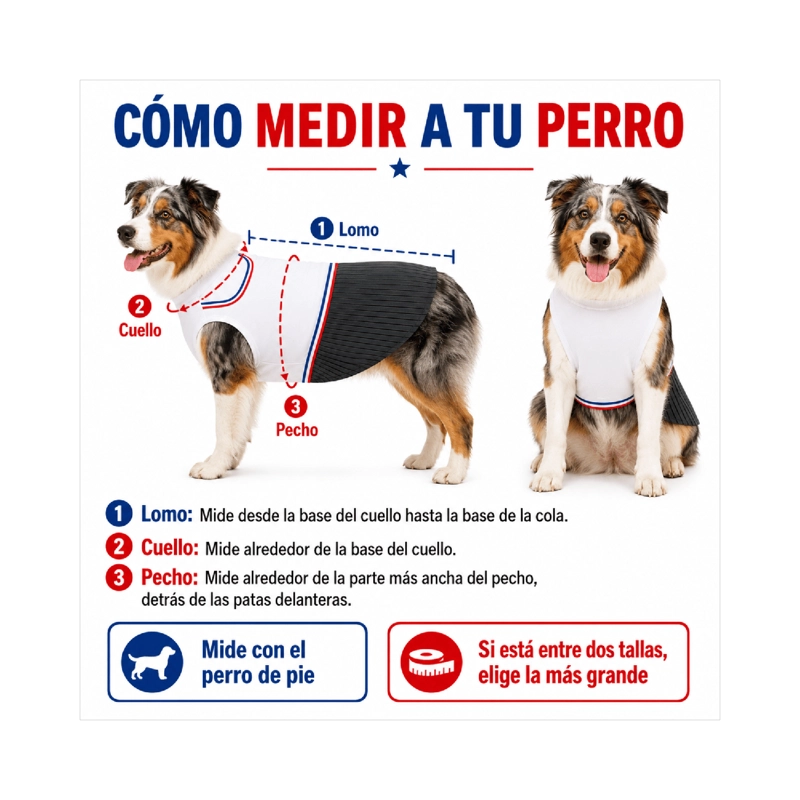 TRAJE DE HUASO CHILENO PARA PERRO TALLA 3XL - 5