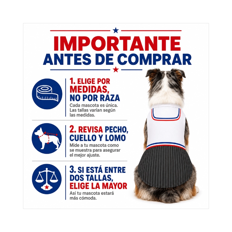 TRAJE DE HUASO CHILENO PARA PERRO TALLA 3XL - 7