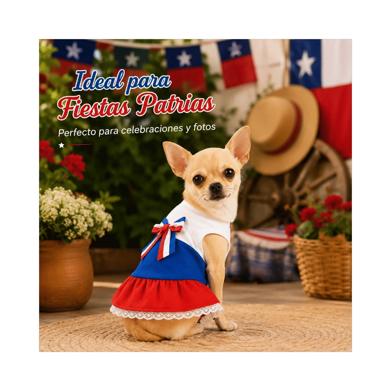 VESTIDO DE HUASA TRICOLOR PARA PERRO TALLA XXS - 2