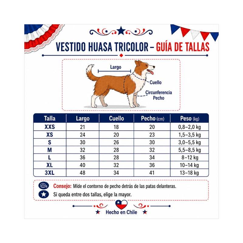 VESTIDO DE HUASA TRICOLOR PARA PERRO TALLA XL - 5