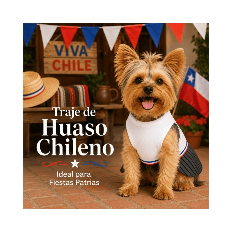 TRAJE DE HUASO CHILENO PARA PERRO TALLA XS - 2