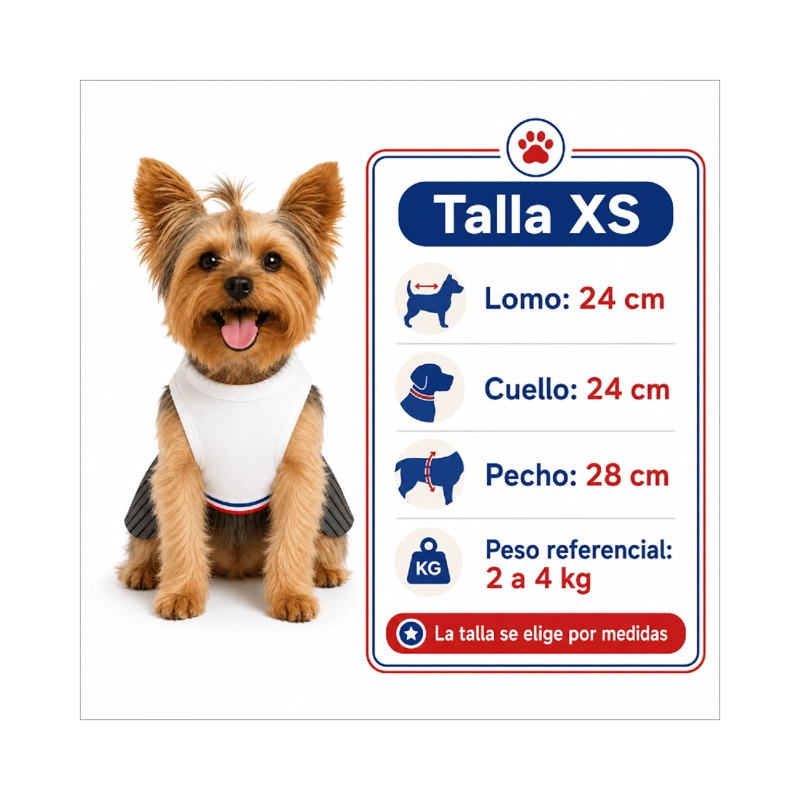 TRAJE DE HUASO CHILENO PARA PERRO TALLA XS - 3