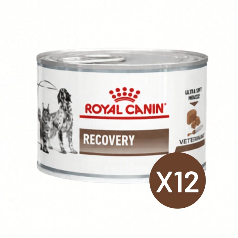 ROYAL CANIN RECOVERY 145G PERRO GATO PACK 12 LATAS - 1
