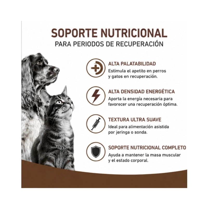 ROYAL CANIN RECOVERY 145G PERRO GATO PACK 12 LATAS - 4