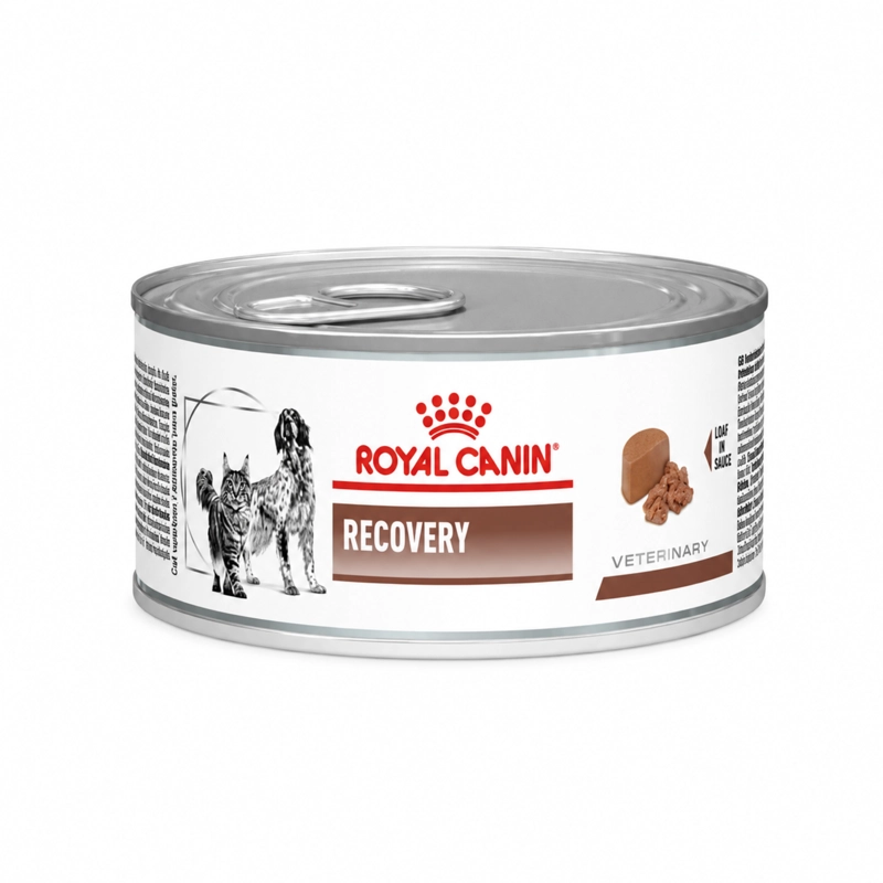 ROYAL CANIN RECOVERY PARA PERROS Y GATOS - LATA DE 145G - 1