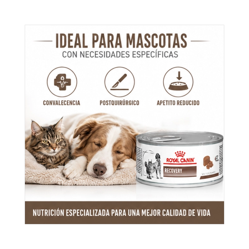 ROYAL CANIN RECOVERY PARA PERROS Y GATOS - LATA DE 145G - 4