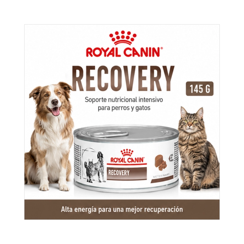 ROYAL CANIN RECOVERY PARA PERROS Y GATOS - LATA DE 145G - 7