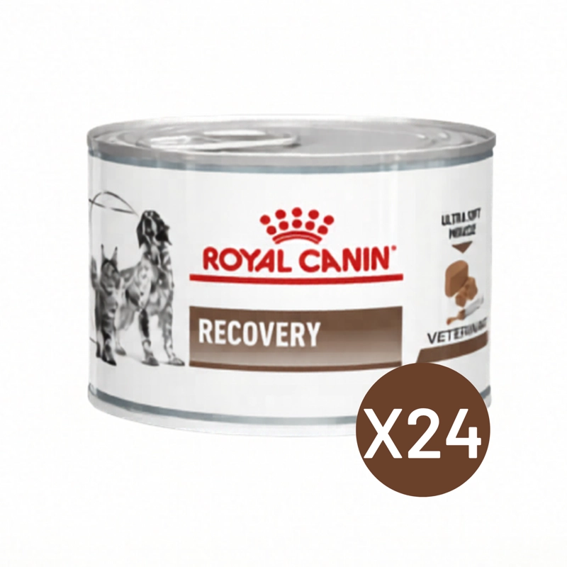 ROYAL CANIN RECOVERY 145G PERRO GATO PACK 24 LATAS - 1
