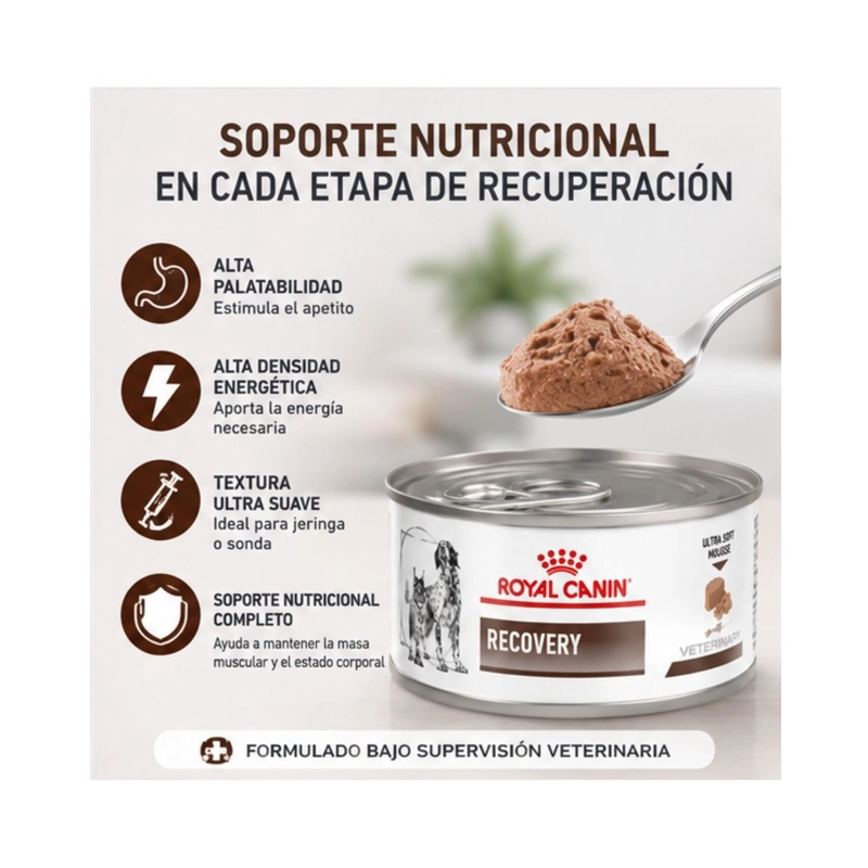 ROYAL CANIN RECOVERY 145G PERRO GATO PACK 24 LATAS - 2