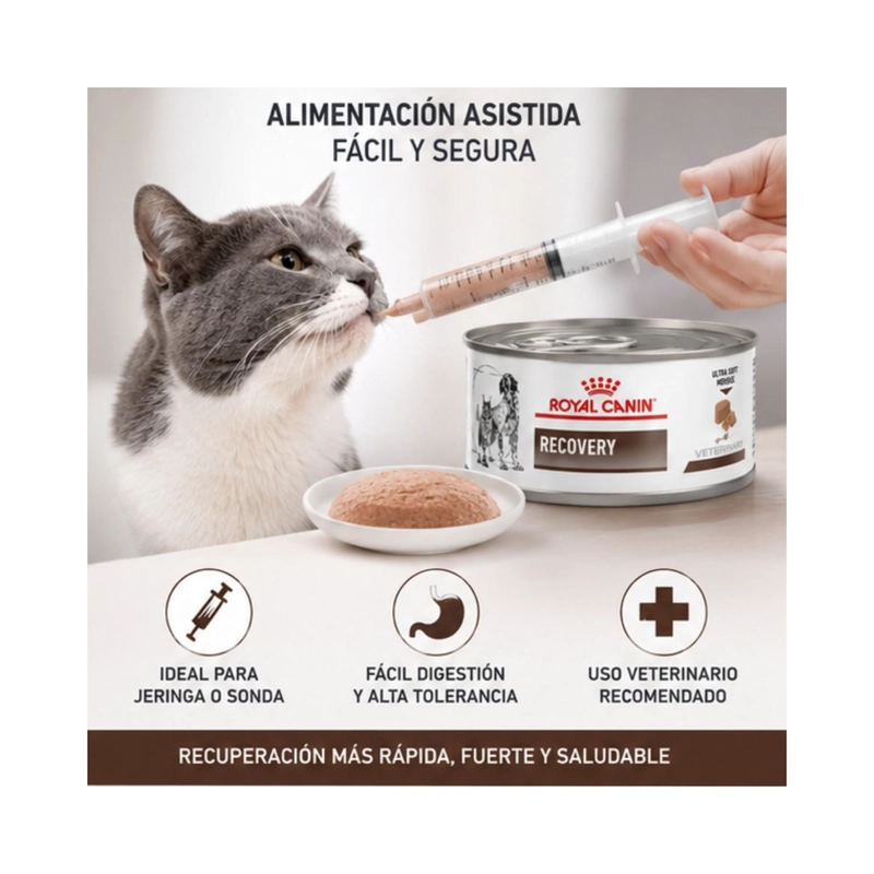 ROYAL CANIN RECOVERY 145G PERRO GATO PACK 24 LATAS - 4