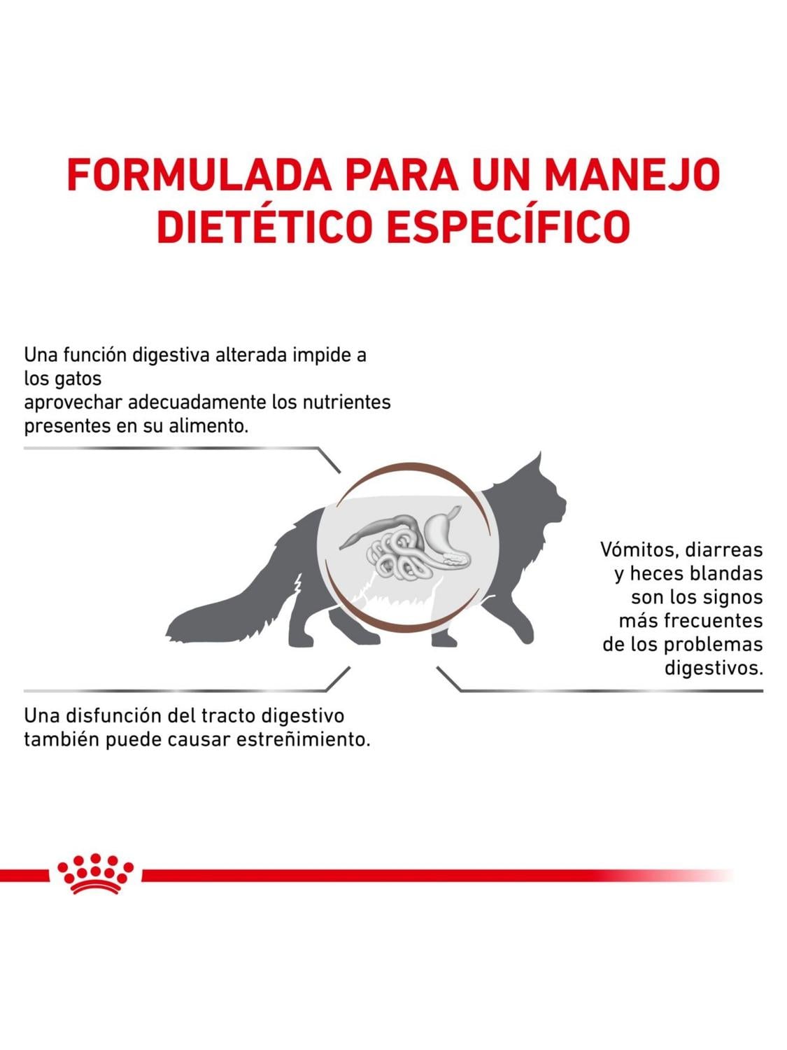 ALIMENTO ROYAL FELINE GASTROINTESTINAL FIBRE RESPONSE 2KG - 3