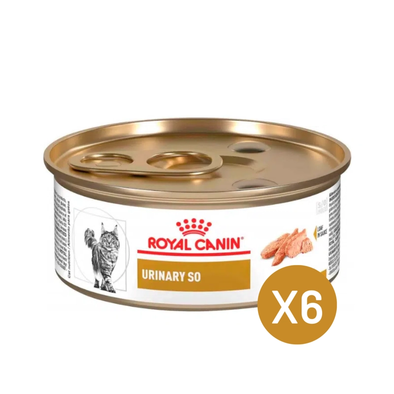ROYAL CANIN URINARY S/O GATOS LATA 145GR | PACK 6 LATAS - 1
