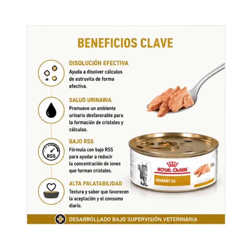 ROYAL CANIN URINARY S/O GATOS LATA 145GR | PACK 6 LATAS - 2